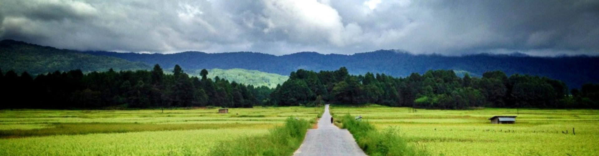 roadway to mountains